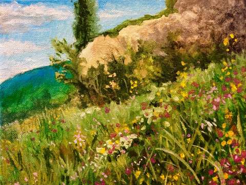 Hillside wildflowers