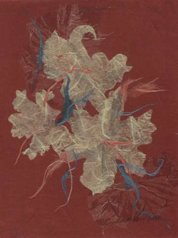 Oreintal lillie
