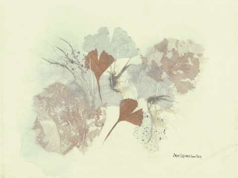 Pretty little gingko