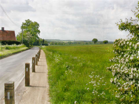 Bressingham spring