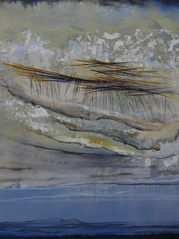 Ocean marsh