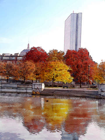 Back bay in color