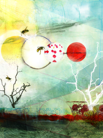 Pollination 2