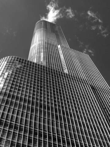 Trump 07 bw