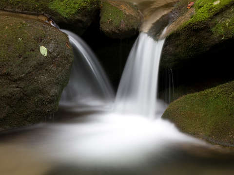 Mineral creek