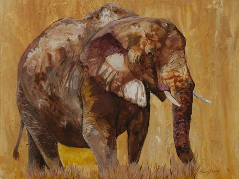 African gold