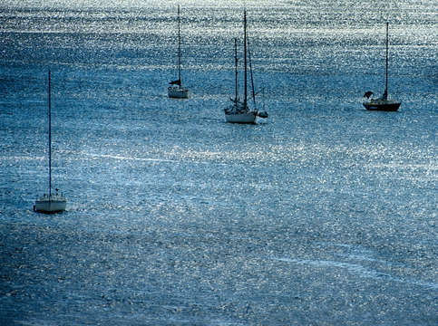 The boats