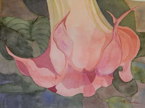 Angel trumpet