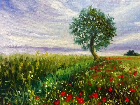 Poppies and wildflowers