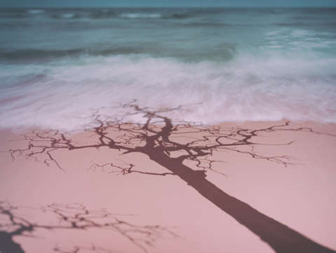 Grainy beach