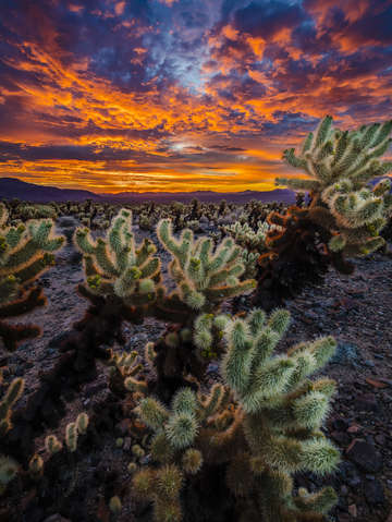 Twilight Glow