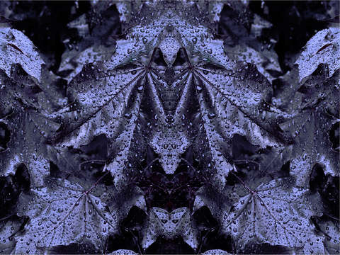 Bats in the leaves