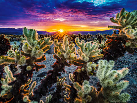 Colorful sunrise