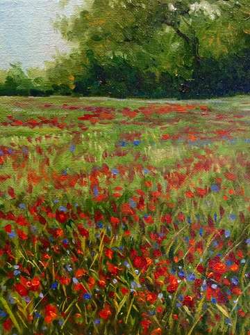 Poppies and periwinkles