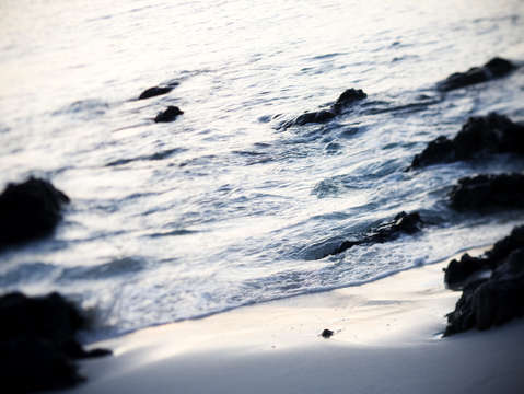 Aruba tide