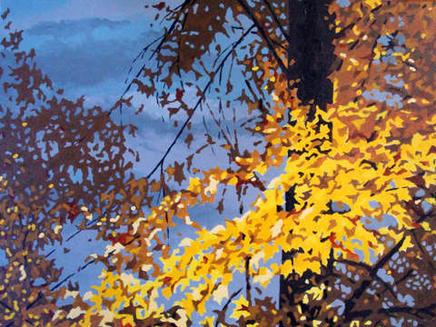 Stormy fall
