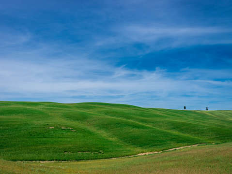 Rolling fields
