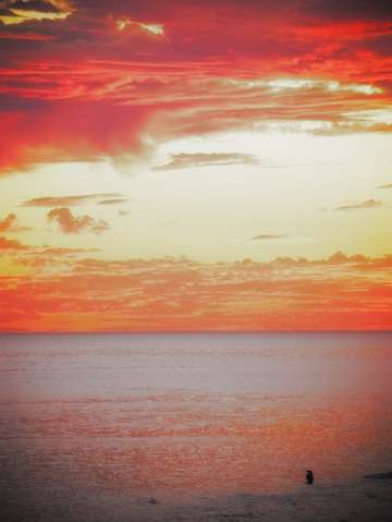 Sky fire