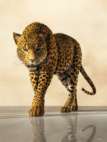Leopard 2
