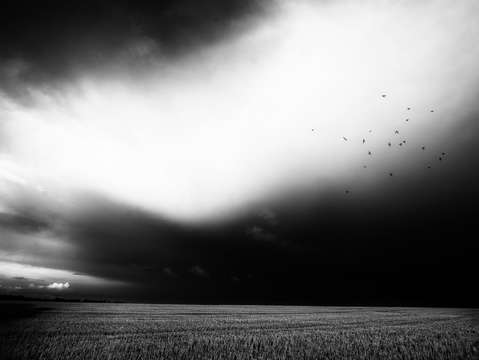 Landscape black