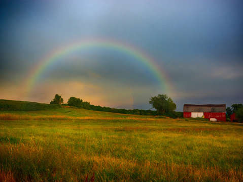 Rainbow wishes