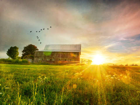 Barn bright