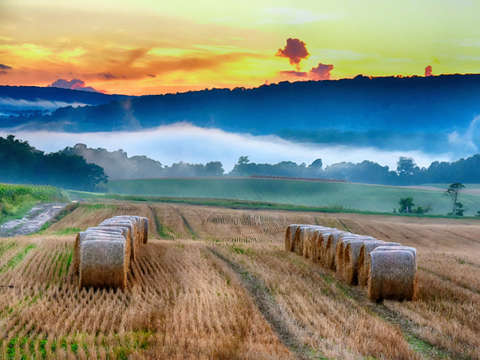 Hay bale fog