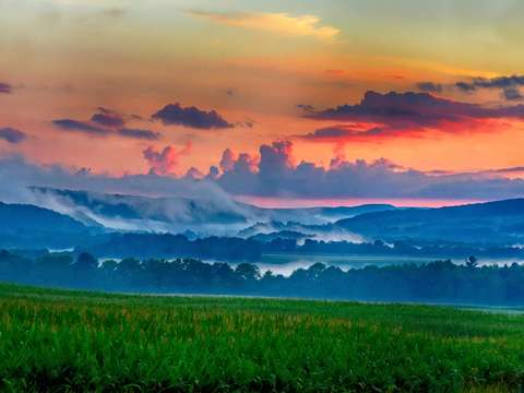 Valley of fog