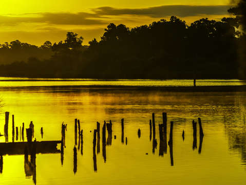 Yellow river