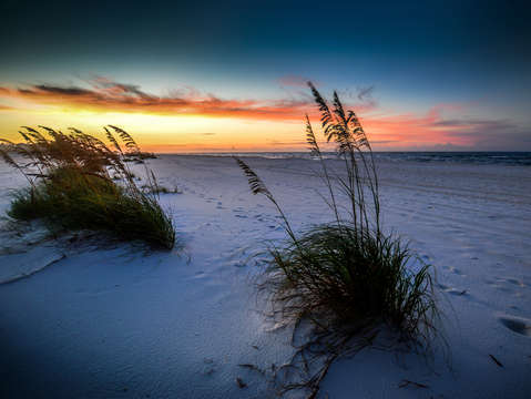 Alone with the grasses on the beach