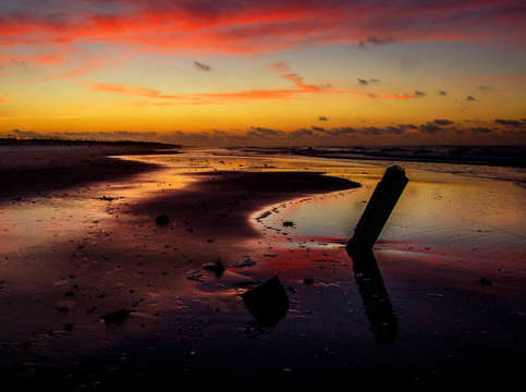 Purple beach sunrise at the stump