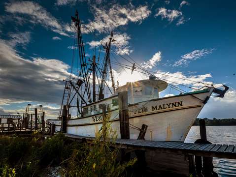 Teri malynn at harbor at billys seafood