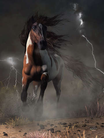Mustang horse in a storm
