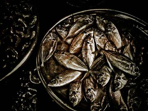 Shimmer