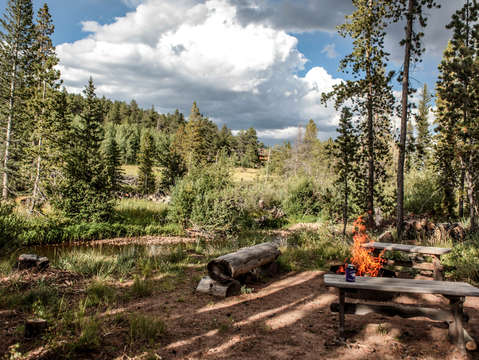 Daytime Campfire