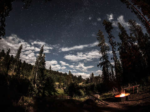 Stars above a river forest