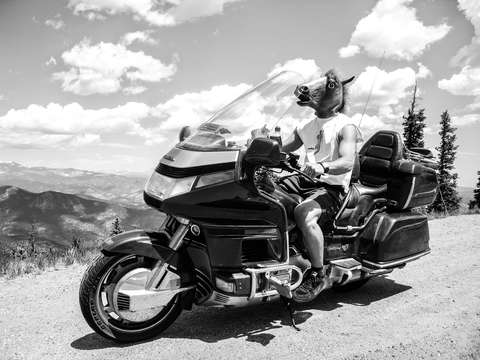 Sweet ass gold wing 2