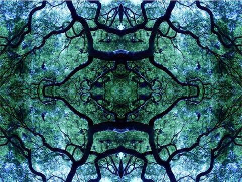 Life underground