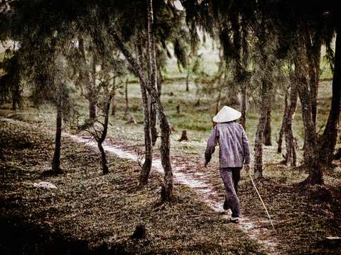 The Path