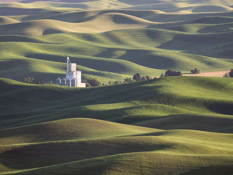 Whitman county growers
