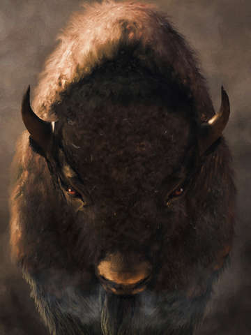 Portrait of a buffalo