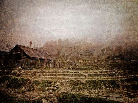 The House