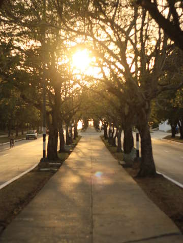 Paseo de marcos garcia