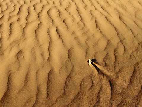 Sea of sand