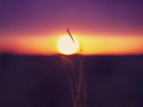 Experiment in ease