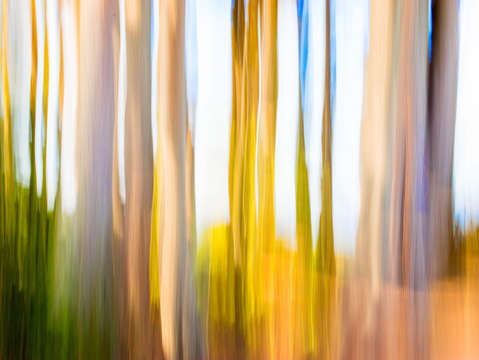 Moving trees v