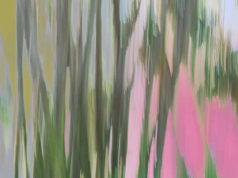 Moving trees vi