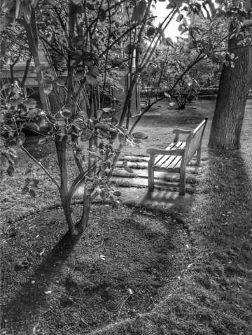 Morning bench in bw