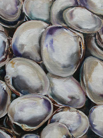 Clam shells