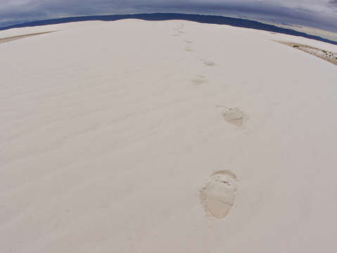 Footprints at white sand dunes national monument
